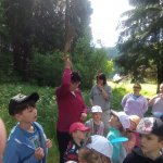 phoca_thumb_m_vp -3. den 28 Fotogalerie